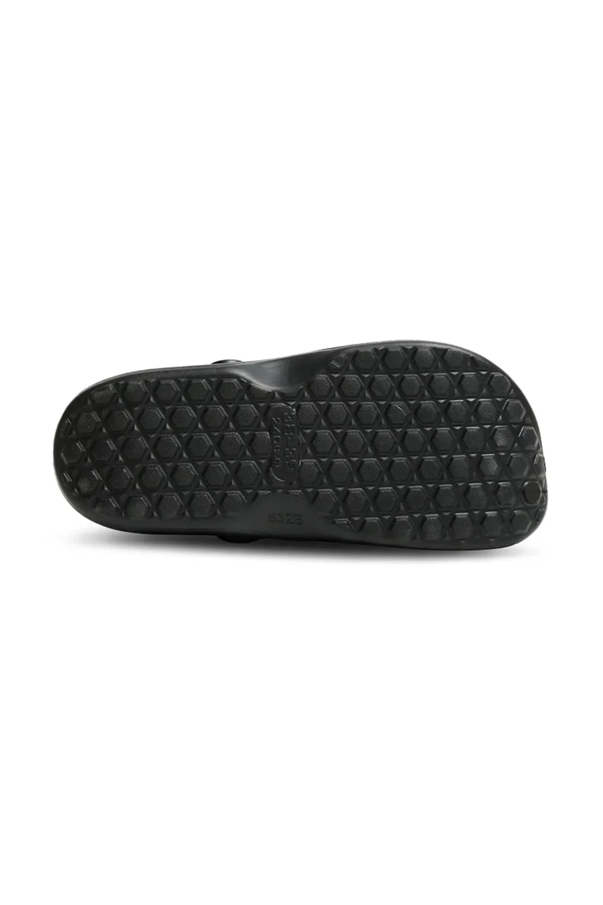 Tumble Jays - Image 5